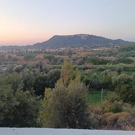 In Nature